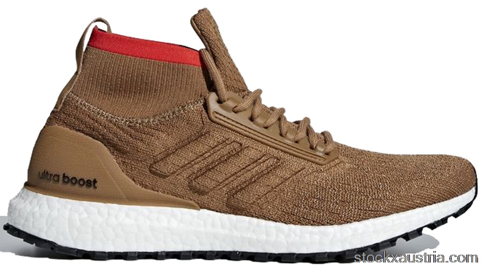 adidas Ultra Boost All Terrain Raw Desert CM8258 AT